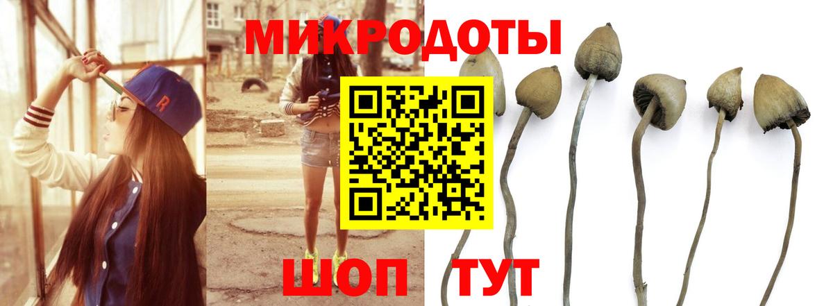 Псилоцибиновые грибы GOLDEN TEACHER Кувандык